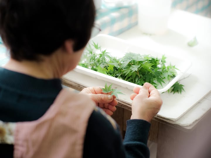 「沒想過賣葉子也可以賺錢」(標題圖檔)